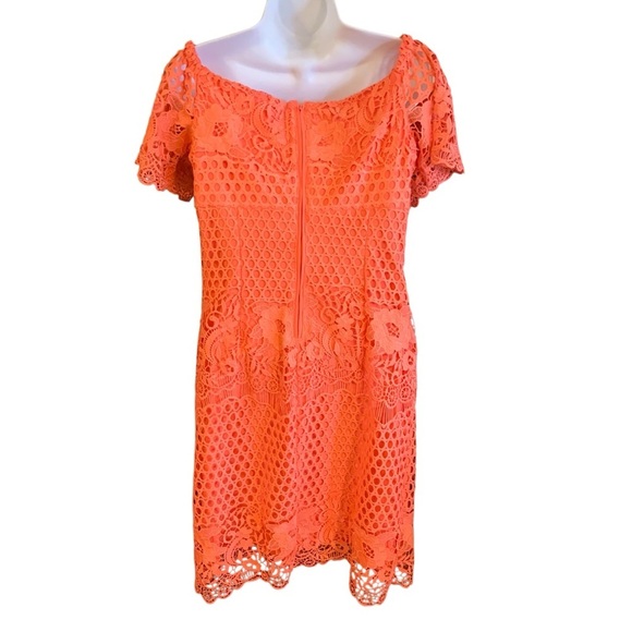 RALPH LAUREN BLACK LABEL Lace Overlay Dress - Size 6 - mordernwear.com